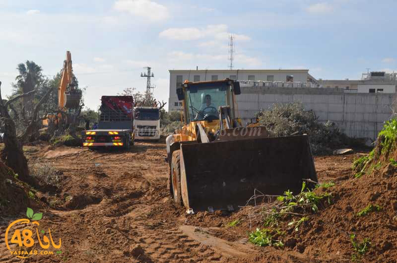 hadm ramla zatoen (29).JPG